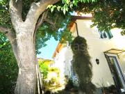 Villa a Schiera in affitto a Sarzana via Nilo Garbusi,...