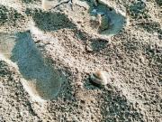 Villa a Schiera in in affitto da privato a Comacchio,...