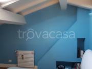 Villa a Schiera in in affitto da privato a Pietrasanta...