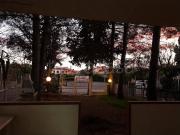 Villa a Schiera in in affitto da privato a Villapiana...