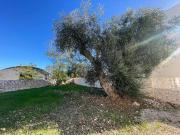 Villa a schiera in vendita a Bari