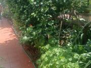 Villa a schiera in vendita a Latina via Giovanni...