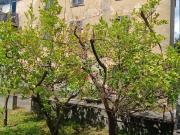 Villa a schiera in vendita a Massa