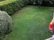 VILLA A SCHIERA in VENDITA a MASSA RONCHI di 6 vani