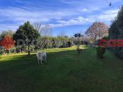 Villa a schiera in vendita a Montelupo Fiorentino