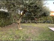 Villa a schiera in vendita a Roveredo in Piano via del Gelso