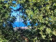 Villa a schiera Pescara. Rif.: Rif 242t