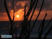 Villa arredata con terrazzo Centro