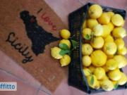 Villa arredata con terrazzo Centro