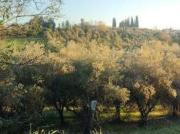 Villa arredata con terrazzo LAstrA A Signa