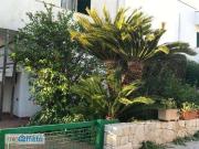 Villa arredata con terrazzo Nardo'