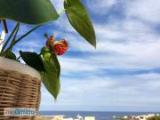 Villa arredata con terrazzo Pantelleria