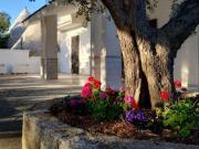 Villa arredata Monopoli