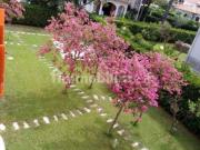 Villa arredata Sangineto lido