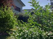 Villa arredata Varese