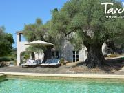 Villa avec piscine et jardin