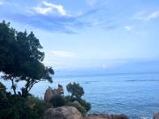 Villa avec piscine en bord de mer