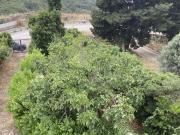 Villa bifamiliare Cinisi