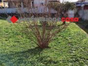 Villa Bifamiliare con giardino a Pomezia