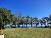 Villa bifamiliare in affitto a Ancona