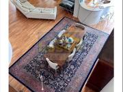 Villa bifamiliare in affitto a Casalecchio di Reno, Ceretolo