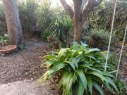 Villa Bifamiliare in affitto a Livorno via delle Siepi,...