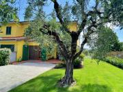 Villa Bifamiliare in affitto a Montecarlo via di...