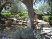 Villa Bifamiliare in affitto a Orbetello, arredato,...