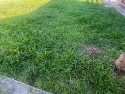 Villa Bifamiliare in affitto a Sarzana, case in affitto...