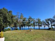 Villa Bifamiliare in affitto ad Ancona, arredato,...