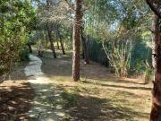 Villa Bifamiliare in in affitto da privato a...