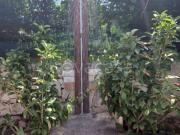 Villa Bifamiliare in in affitto da privato a Modica...