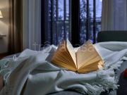 Villa Bifamiliare in in affitto da privato a Nova...