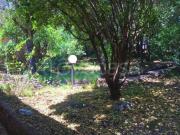 Villa Bifamiliare in in affitto da privato a Orbetello...