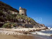 Villa Bifamiliare in in affitto da privato a Sabaudia...