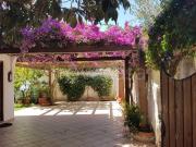 Villa Bifamiliare in in affitto da privato a San Felice...