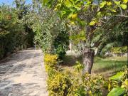 Villa Bifamiliare in in affitto da privato a Siracusa...