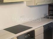 Villa Bifamiliare in in affitto da privato a Treviso...