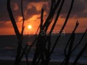 Villa Bifamiliare in in affitto da privato a Villafranca...