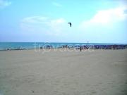Villa Bifamiliare in in affitto da privato ad Ardea... Villa Bifamiliare in in affitto da privato ad Ardea...
