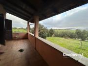 Villa bifamiliare in locazione Capalbio