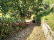 Villa bifamiliare in vendita a Camaiore