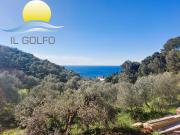 Villa bifamiliare in vendita a Cervo