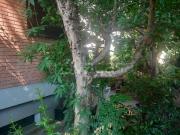 Villa bifamiliare in vendita a Firenze via Pistoiese, Brozzi