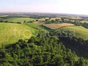 Villa bifamiliare in vendita a Fonte Nuova viale Nicola...