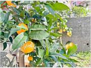 Villa bifamiliare in vendita a Genova via Mario Mazza,...