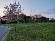 Villa bifamiliare in vendita a Lucca, San Concordio