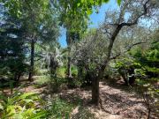 Villa bifamiliare in vendita a Palermo via Giuseppe...