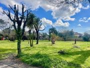 Villa bifamiliare in vendita a Roma