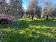 Villa bifamiliare in vendita a Seravezza